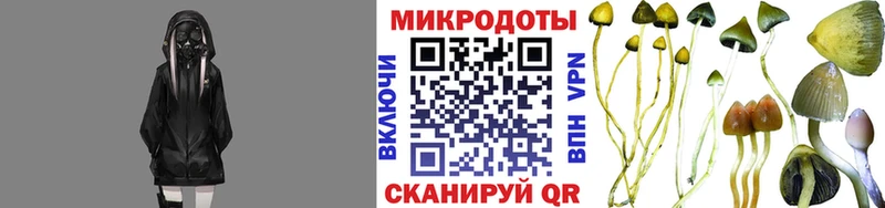 mega зеркало  Никольск  Псилоцибиновые грибы ЛСД 